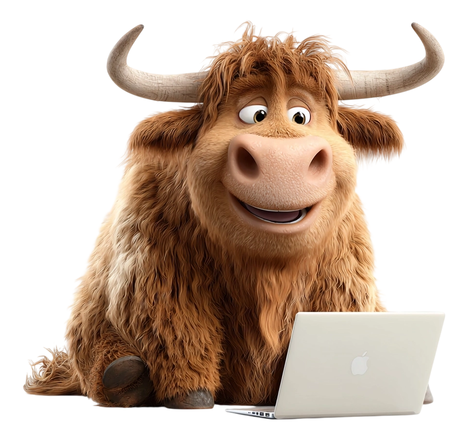 Highland cow ready to help
